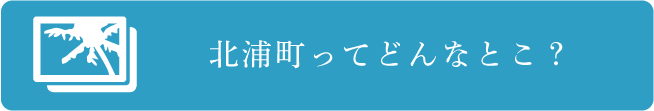 北浦ってどんなとこ？